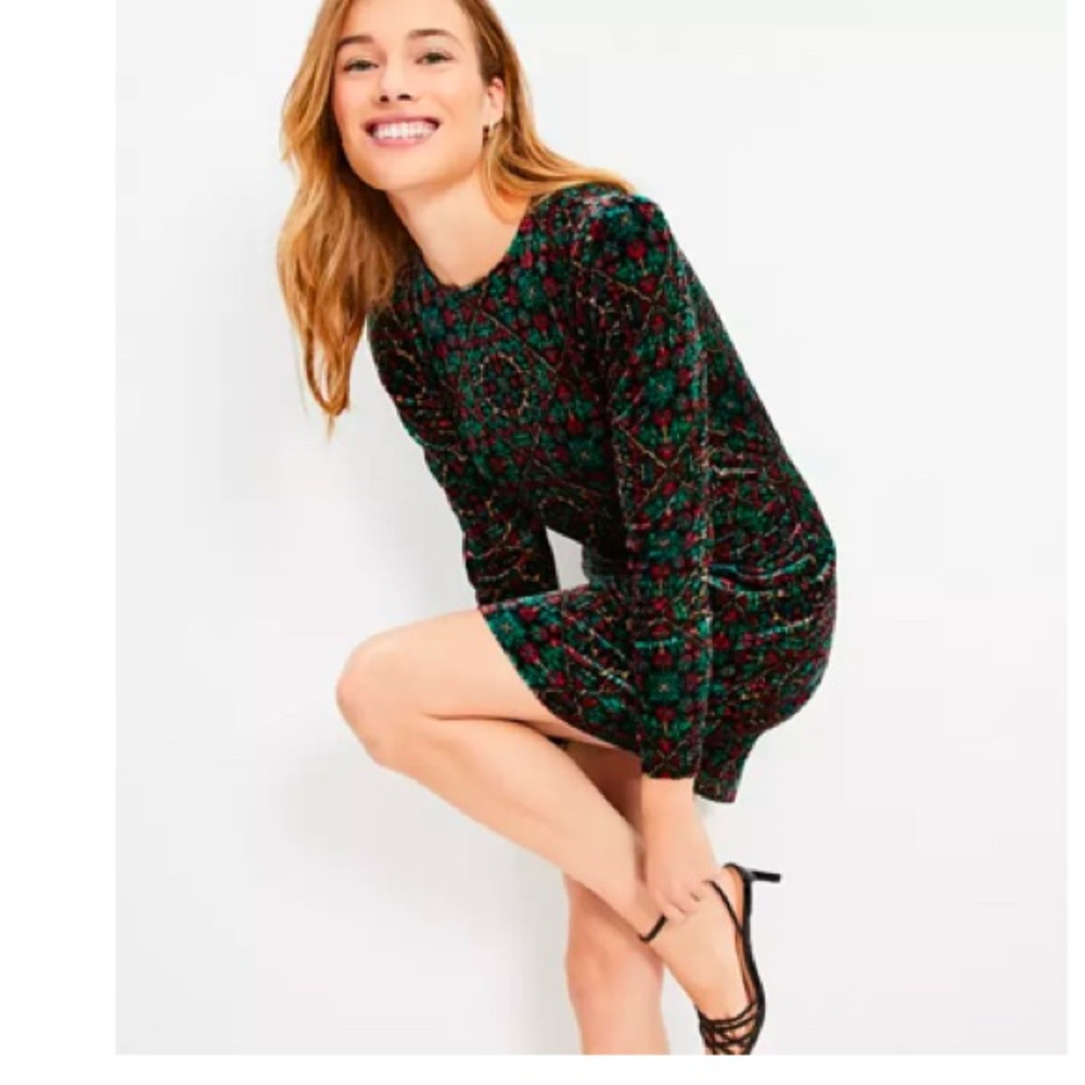 LOFT Ornamental Floral Shirred Velvet Mini Dress in Women’s 14 NWOT Never Worn - Picture 2 of 13